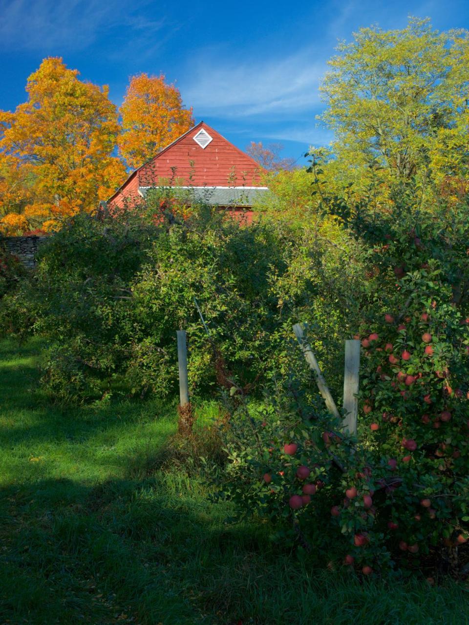 Danskammer House Bed & Breakfast Marlboro Exterior photo